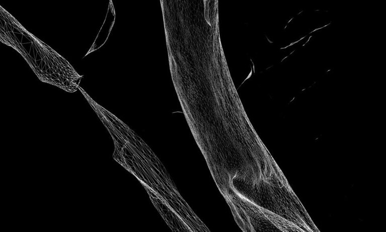 3D scans # 2011