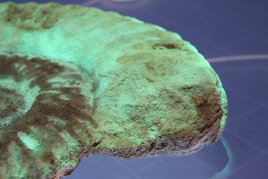 Muzeum 3000 # 2011