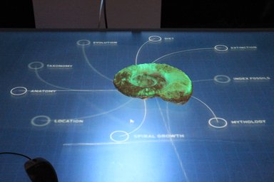 Muzeum 3000 # 2011